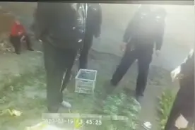 河南一居民菜园发现2000余株“大烟苗”菜园主人：罂粟苗比较好吃视频封面