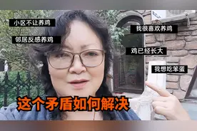 小区里不允许养鸡，在自家小院养邻居很反感，已经养大的鸡怎么办视频封面