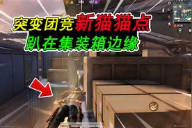 和平精英揭秘：突变团竞“猫猫点”，趴在仓库集装箱，变身猎手！