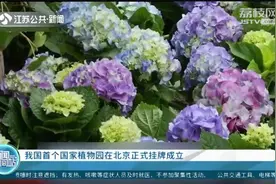 规划总面积近600公顷！我国首个国家植物园在北京正式挂牌成立视频封面
