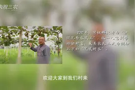 我的村庄和我 | “电商书记”带领村民走出致富新路子视频封面