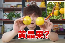 试吃原产自南美的水晶果，89买了两斤，据说有特殊的味道？视频封面
