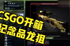 【CSGO】csgo开箱纪念品龙狙合集！