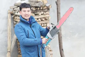 智强用电锯锯柴，粗树木不费力气被锯断，这效率是真高啊视频封面