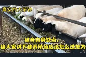 养殖场应该怎么选址，听听我家养殖场的缺点你就明白了视频封面