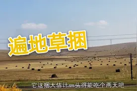 内蒙养牛羊成本高吗？70斤草捆只够一头牛吃两天，一般人还养不起