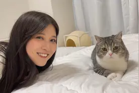 网络美女红人八田エミリHatta Emily到一只叫年糕的猫家里玩视频封面