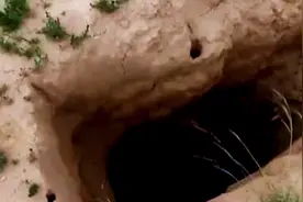 农田深处惊现神秘盗洞，乡村地下竟然有大墓！专家下洞后大吃一惊