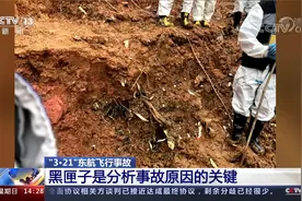 “3·21”东航飞行事故 黑匣子是分析事故原因的关键视频封面