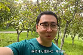 农产品过剩，高端的阳光玫瑰葡萄也可能会出现4、5元一斤的情形视频封面