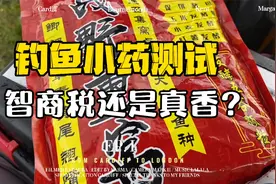 鱼越吃越饿？加了钓鱼小药的颗粒窝料，钓友帮忙验证一下！视频封面
