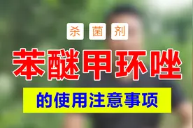 苯醚甲环唑的使用禁忌和注意事项