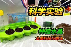 4个神奇科学小实验，种植水晶全是科技与狠活，皮影戏嗨到起飞视频封面
