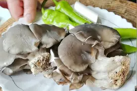 “尖椒炒平菇”的家常做法，学会2个技巧，做什么蘑菇都好吃视频封面