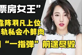 “票房女王”白百何，靠陈羽凡上位打入京圈，却因一指弹自毁前途视频封面
