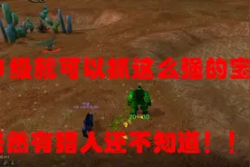 魔兽世界怀旧服：小号猎人来抓这两个精宝宝，前期刷怪升级无压力