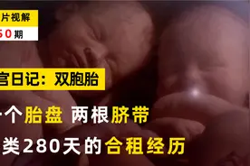 子宫日记：一个胎盘，两根脐带，双胞胎280天子宫内的奇妙之旅！视频封面