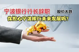 宁波银行行长辞职：大跌是对前行长最大的尊重