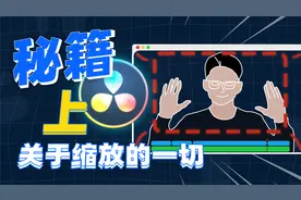【秘籍】关于达芬奇的缩放！你不知道的都在这里视频封面