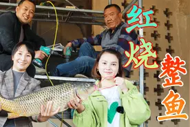 整条10斤大鲤鱼端上桌，红烧口味汤浓肉嫩，几人就上米饭吃的精光视频封面