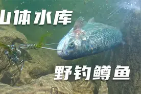 在新疆伊犁的一座山体水库野钓鳟鱼，雪山融水风景绝美视频封面