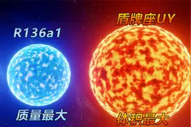 质量最大的恒星R136a1和体积最大的恒星盾牌座UY相撞会怎样？视频封面