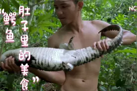 东南亚小伙热带雨林探险，意外发现了休息的鳄鱼和它肚子里的食物视频封面