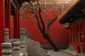 大清秘史，带你探索那些事人不知的秘闻，第6集视频封面