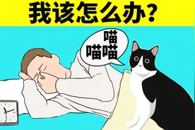 猫咪半夜总爱叫怎么办？教你一招轻松解决！视频封面