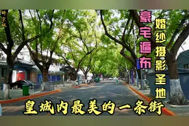 紫禁城边上这条街槐花遮荫太美了，豪宅有许多！也是婚纱摄影圣地视频封面