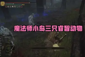 《艾尔登法环》魔法师小岛三只睿智动物视频封面