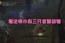 《艾尔登法环》魔法师小岛三只睿智动物视频封面