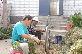 农村花生太多摘不过来怎么办？小伙教你一招，这速度能顶10个人