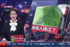 广州荔湾：“墨绿色液体”偷排入珠江？污水处理厂回应视频封面