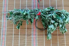 艾草干了就扔掉？别傻了，这个作用花钱都买不到，看完快回家试视频封面