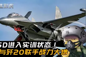 歼16D歼20双雄联合！干扰猎杀双重BUFF，可对美军F35建立体系优势视频封面
