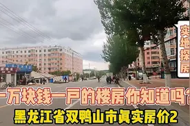 黑龙江省双鸭山真实房价二，一万块钱一户现场谈价，打破你的认知视频封面