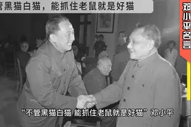 聚焦实效 邓小平”不管黑猫白猫,能抓住老鼠就是好猫“的实践意义视频封面