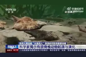 科学家揭示人类是从鱼进化来的视频封面