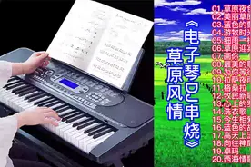 草原风情：动感劲爆电子琴DJ草原歌曲20首串烧，好听