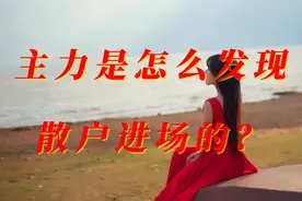 主力是怎么发现散户进场的？散户能逃过吗？看完你就懂了！视频封面