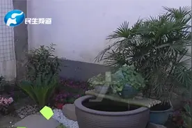 河南许昌：在上海漂泊的夫妇，因为改造16年没人住的小院火了视频封面
