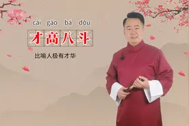 成语才高八斗