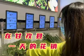 在甘孜生活成本高不高，俩人一天要花多少钱？这个数字你想到了吗