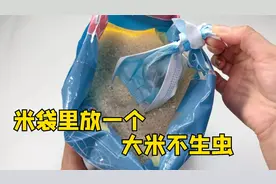 防止大米生虫有诀窍，米箱里放一个，放半年都不生虫，快学学