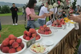 走进中法农业科技园视频封面