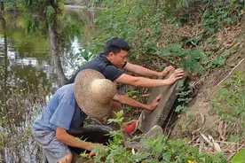 家里水井抽不出水，爷孙一起修机子，大根迷惑行为惹得爷爷笑不停视频封面