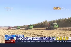 黑龙江：超7000万亩农作物已完成秋收视频封面