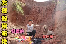 金毛发现小朋友的秘密基地，谁知小虎说这里发生过事故，咋回事？