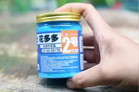 促进开花用什么肥料？园艺师教你，用花多多2号，什么花都通用视频封面